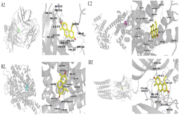 灯心草多酚作用于GABAA受体非苯二氮卓位点 .png